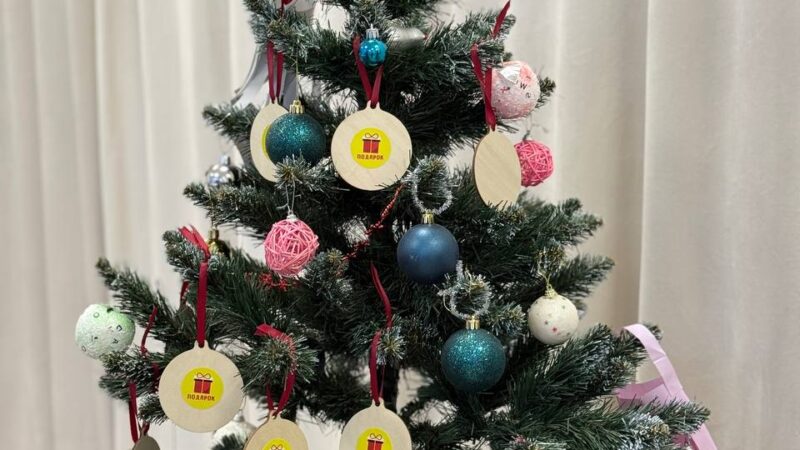 В Рузе задержали похитителей новогодней ёлки