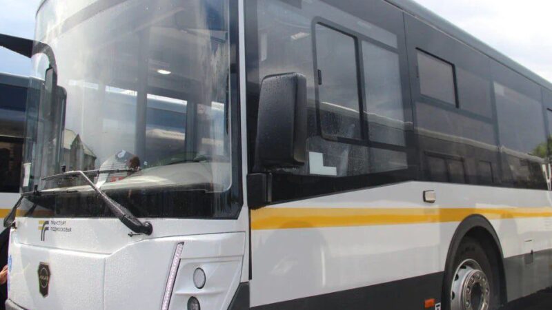 К месту крещенских купаний в Брыньково можно будет добраться на автобусе