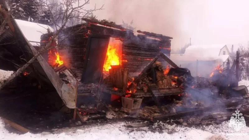 В деревне Петрищево загорелся частный дом 