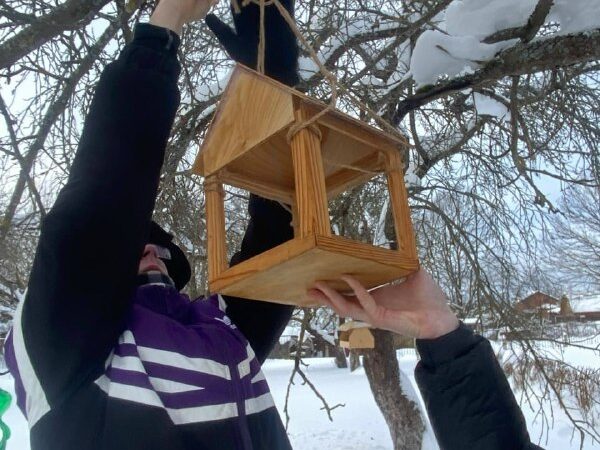 Акция «Пернатый квартал»: школьники из Лидино помогают птицам