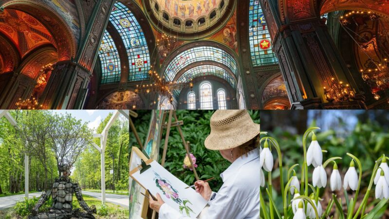 В Подмосковье идёт оценка проектов победителей конкурсного отбора на предоставление грантов