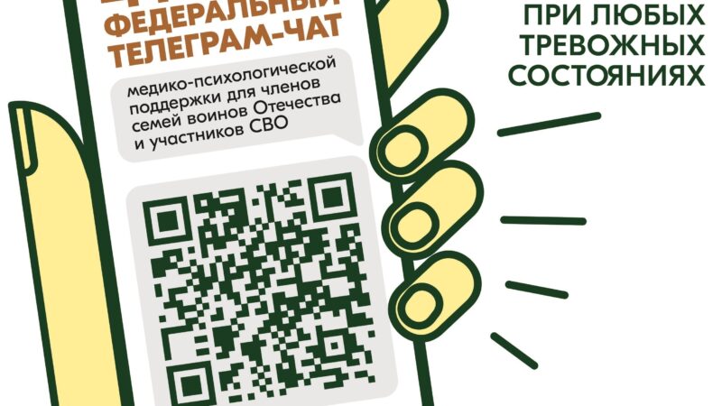 Участникам СВО и членам их семей помогут в специальном федеральном чате