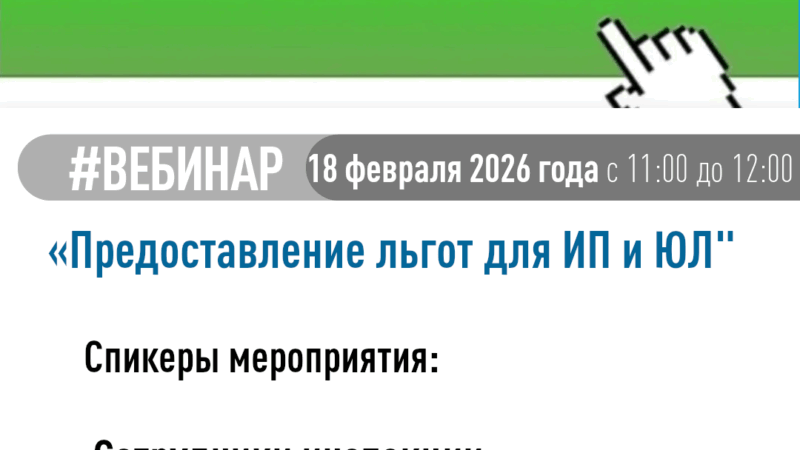 Налоговая инспекция проведёт вебинар «Предоставление льгот для ИП и ЮЛ»