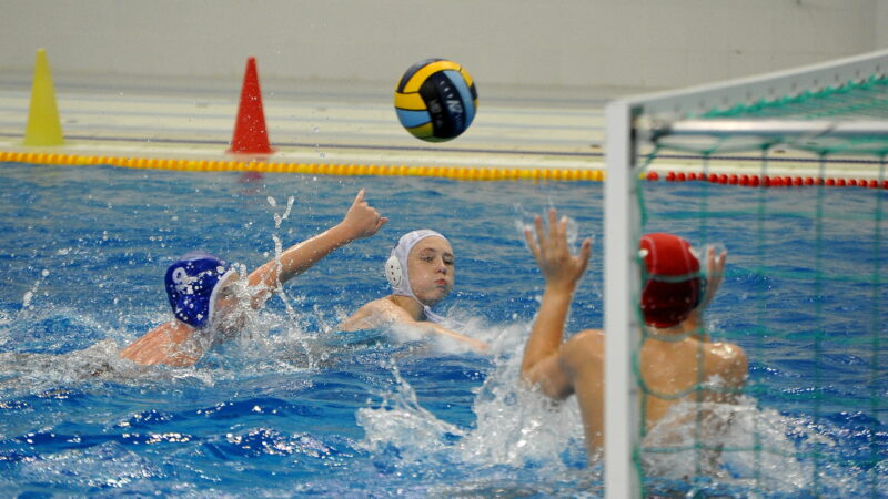 В Рузе состоится межрегиональный турнир по водному поло памяти Вадима Панаиоти