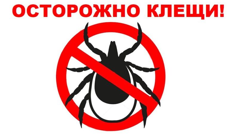Жителям РМО напоминают о профилактике клещевых инфекций
