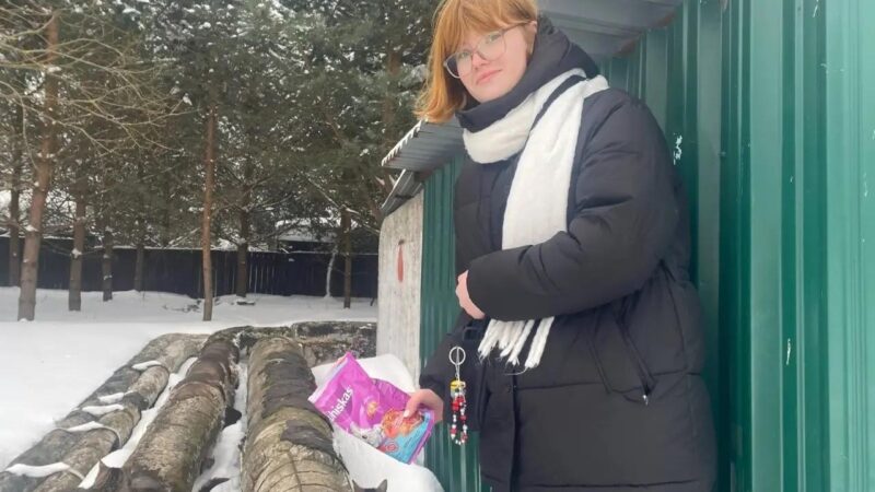 Волонтёры из Нестеровского лицея покормили бездомных кошек