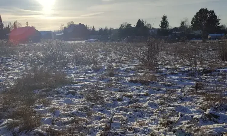 Больше 100 новых объектов появилось на торгах в Подмосковье за неделю