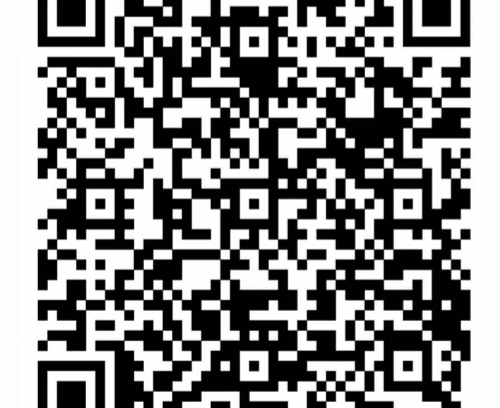 Мы – граждане России!