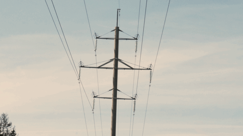 В Рузском округе работают над повышением надёжности электроснабжения потребителей