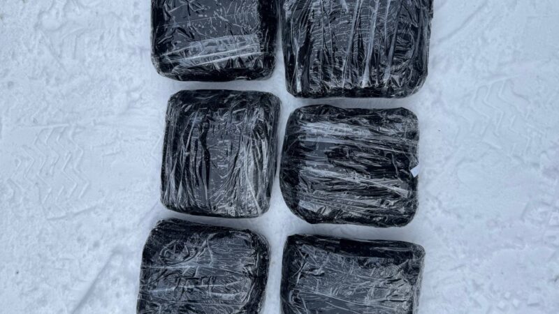 Задержан подозреваемый в сбыте наркотиков в Рузском округе