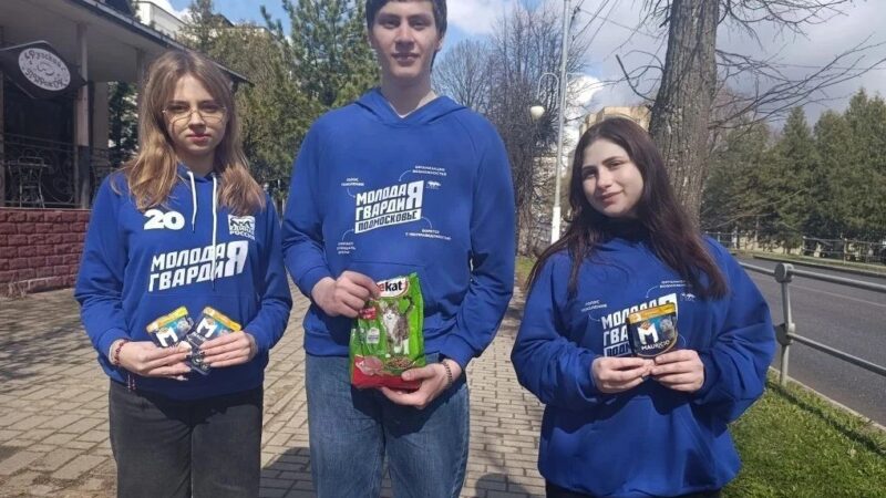 Молодогвардейцы накормили бездомных кошек в Рузе