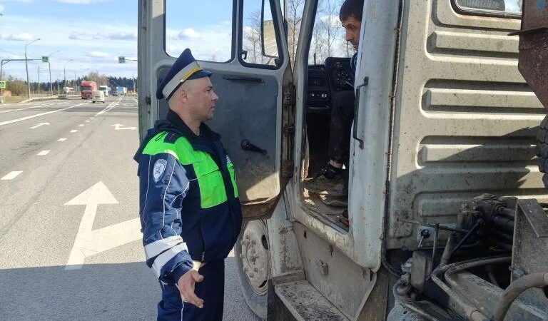 В Рузском округе пресекли несанкционированный сброс мусора