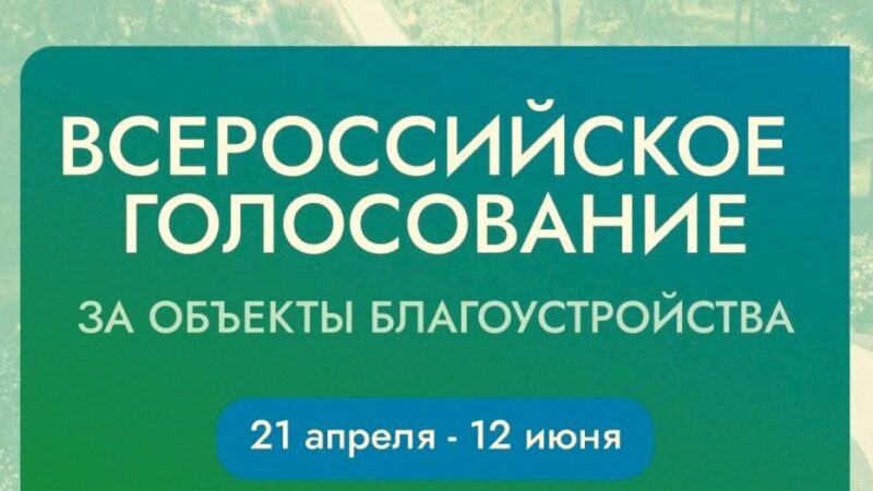 Голосуйте за обустройство Рузского кругового парка