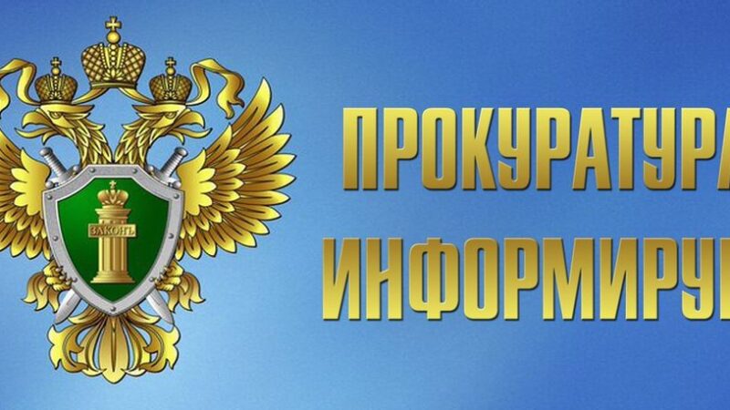 Соцподдержка участников СВО и их семей в Московской области 