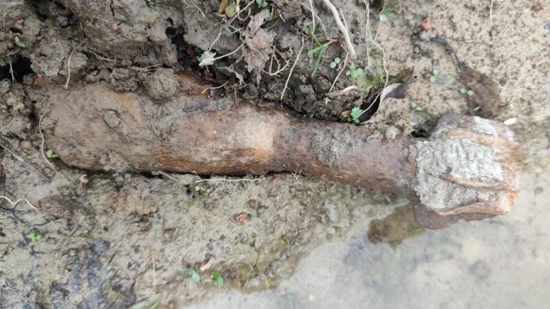 В Дорохово взрывотехники «Мособлпожспас» обезвредили боеприпас времён ВОВ