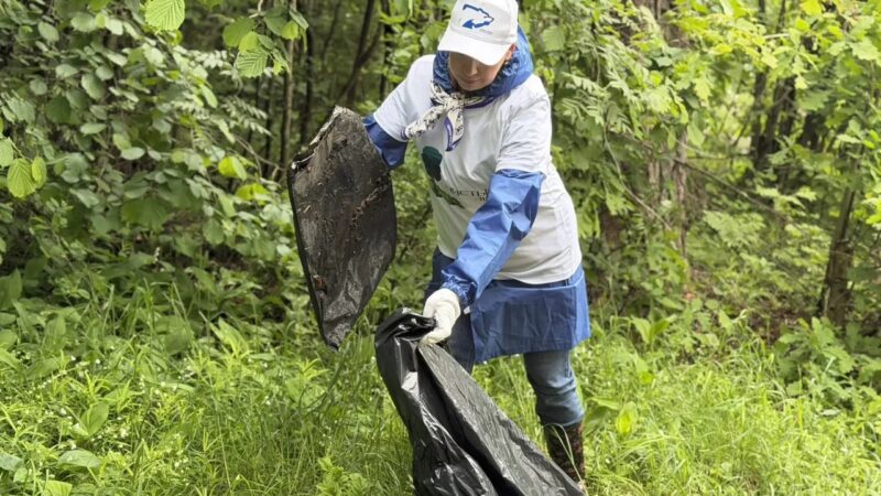 В Рузском округе прошла акция «Чистый лес» с участием Единой России  