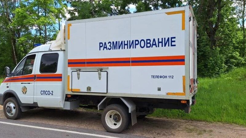 Взрывотехники ГКУ МО «Мособлпожспас» обезвредили минометную мину времен ВОВ в Рузском округе