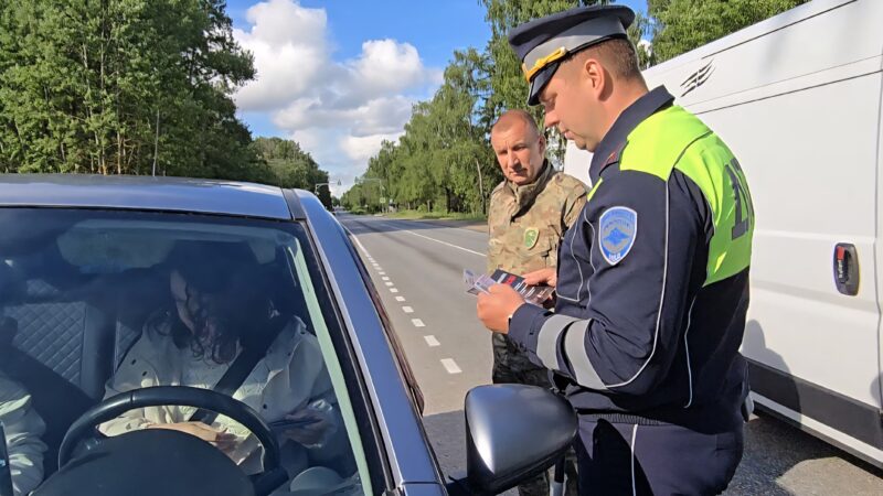В Рузском округе автомобилистам рассказали об опасности встреч с дикими животными
