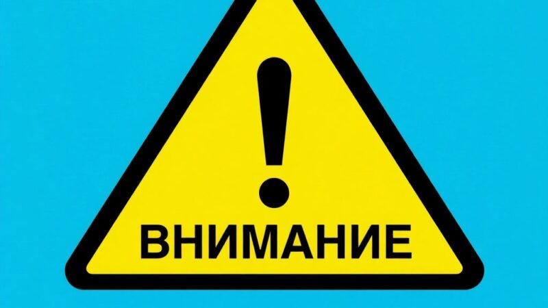 Отмена выездных мероприятий по чипированию, регистрации и вакцинации домашних животных в парках на территории МО