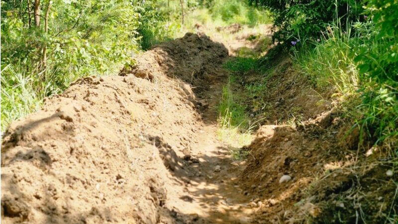 В Орешковском участковом лесничестве обновили минерализованные полосы