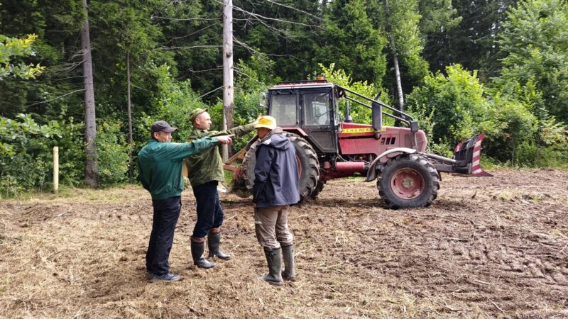 Вблизи деревни Тишино подготовили почву для компенсационного лесовосстановления