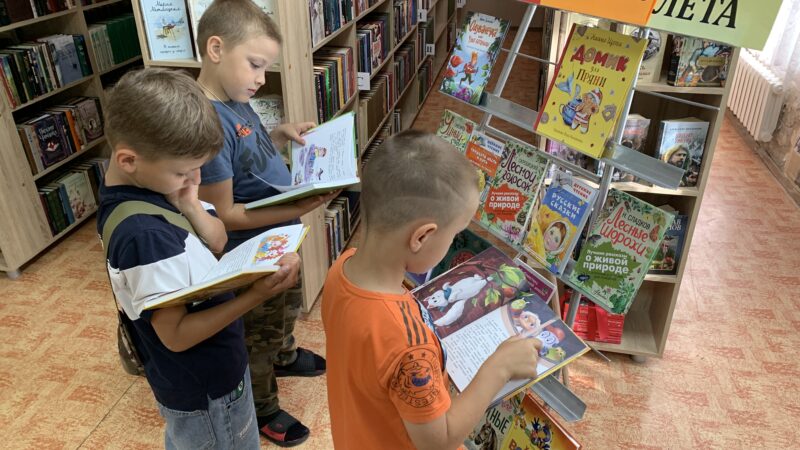 В Никольской библиотеке прошла выставка «Радуга книжного лета»