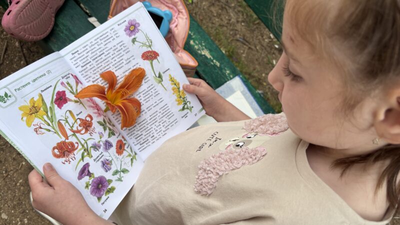 Тучковские ребята научились определять растения с помощью книги