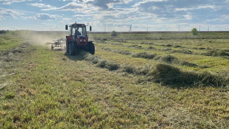 Свыше 1400 гектаров муниципальной и неразграниченной сельхозземли переданы фермерским хозяйствам Подмосковья без торгов
