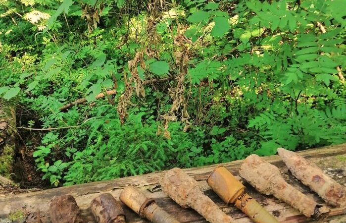 Поисковик нашёл в Рузском округе боеприпасы времён войны