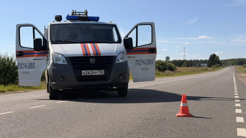 Уничтожение боеприпасов времён Великой Отечественной войны в Рузском округе