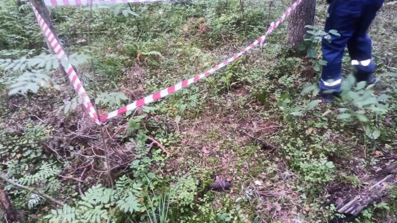 В Рузском округе взрывотехники ГКУ МО «Мособлпожспас» обезвредили артиллерийский снаряд времен ВОВ