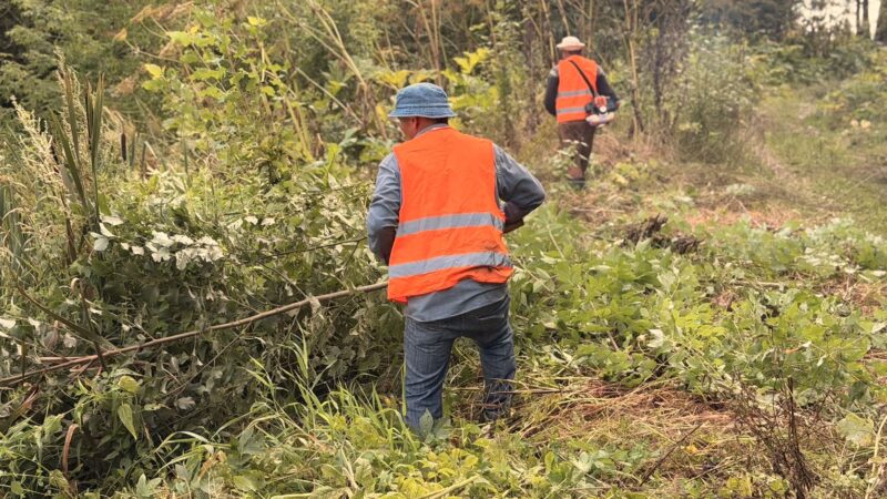На плотине вблизи деревни Кожино наводят порядок