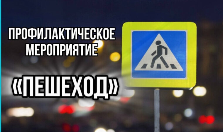 В Рузском округе прошёл рейд ДПС «Пешеход»