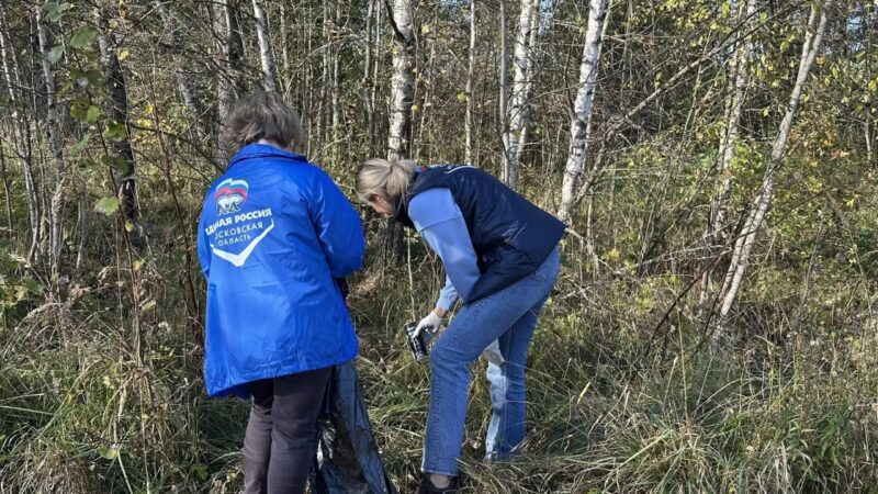 В Рузе прошел субботник в рамках проекта «Чистый лес»
