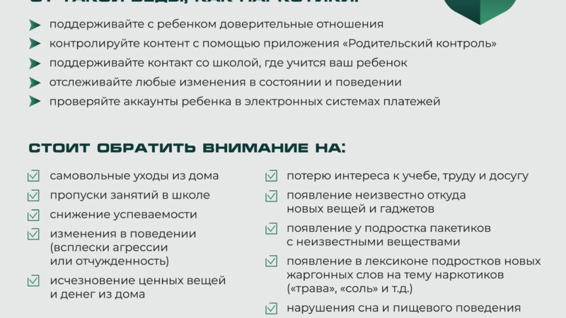 Памятка для родителей по профилактике вовлечения подростков в незаконный оборот наркотиков через сеть интернет