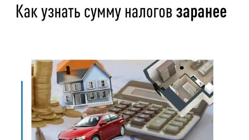 ФНС напоминает ружанам о возможностях самостоятельного расчета налоговых обязательств