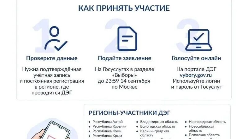 Ружанам — о тестировании системы дистанционного электронного голосования