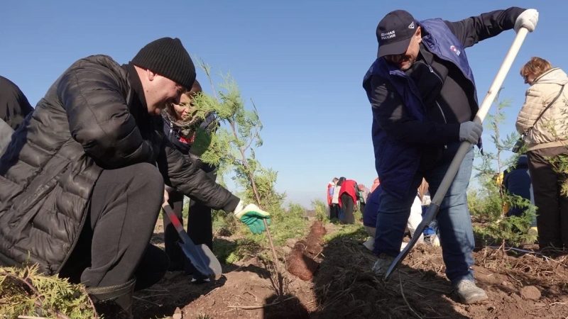 Единороссы приняли участие в масштабной экологической акции