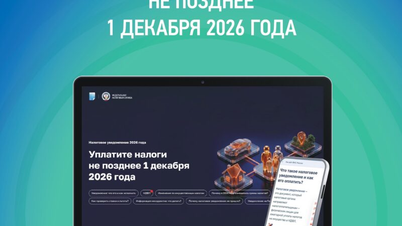 Срок уплаты имущественных налогов и НДФЛ истекает 1 декабря