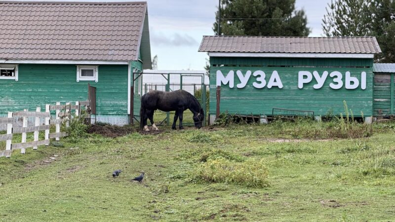 Более 2000 банок закруток и свеча желаний: «Муза Рузы» готовится к Новому году